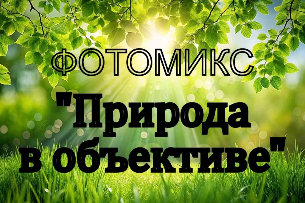 Природа в объективе