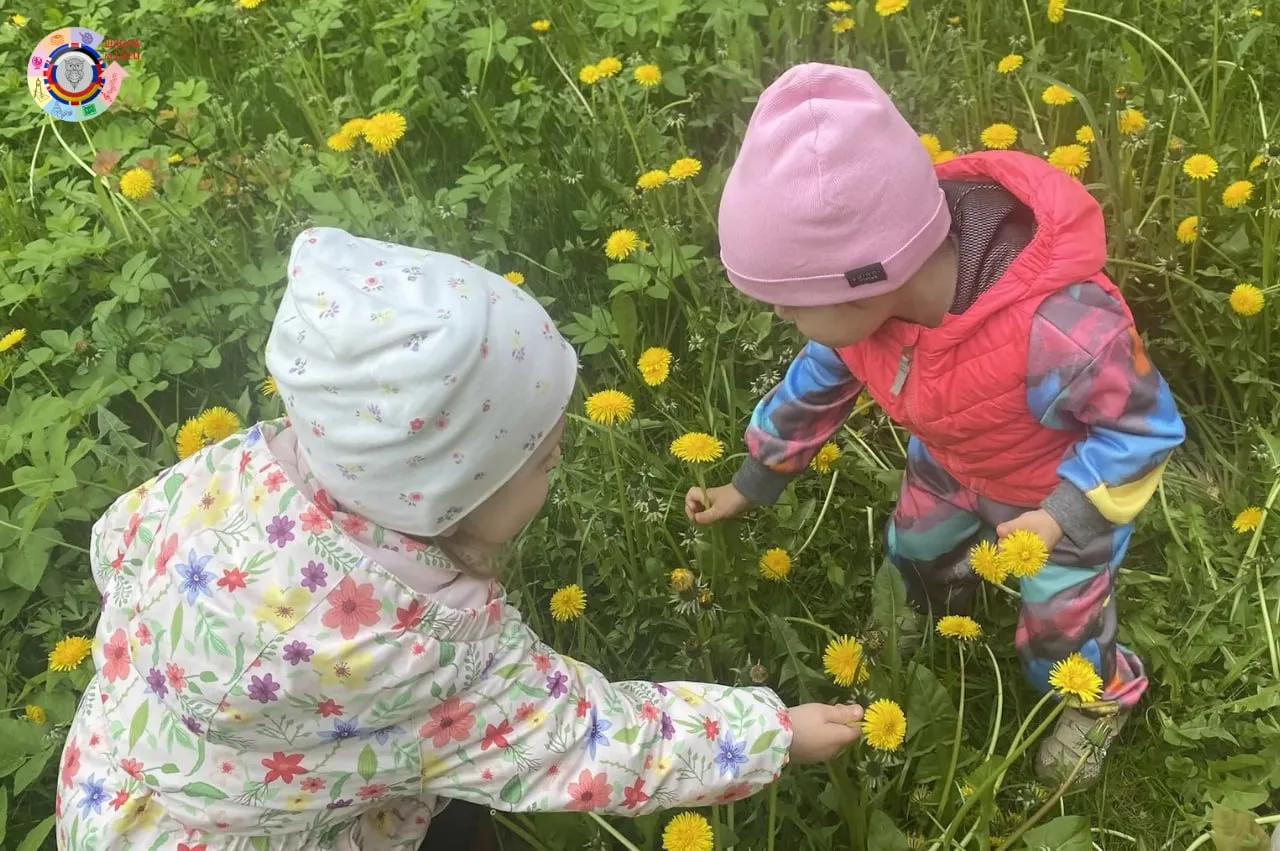 Удивительно, но факт!  🌼 Ежегодно 13 мая отмечается Всемирный день одуванчика! Этот цветок приносит 