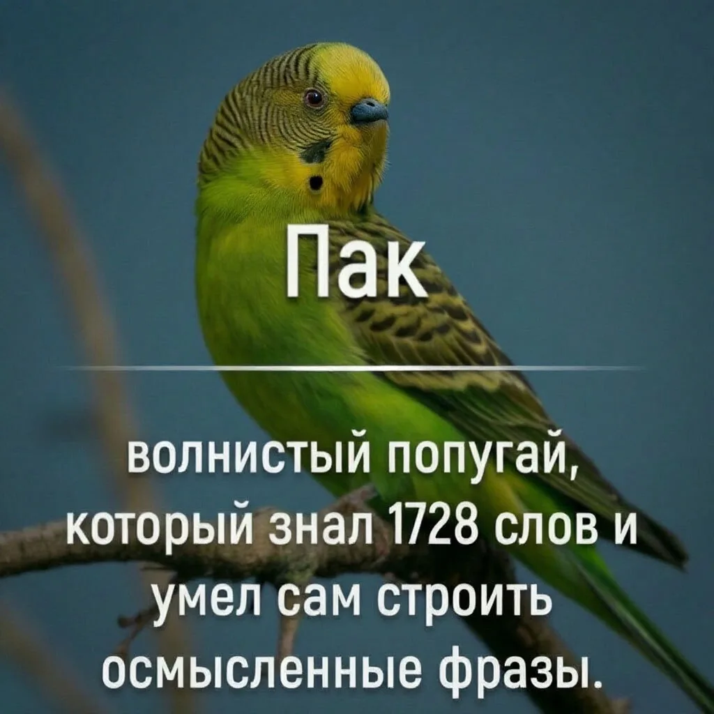 Признавайтесь, знали?