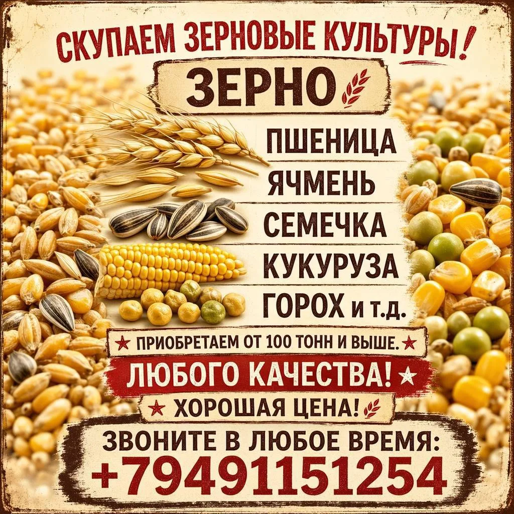 Готовы выкупить ваш урожай!🧾