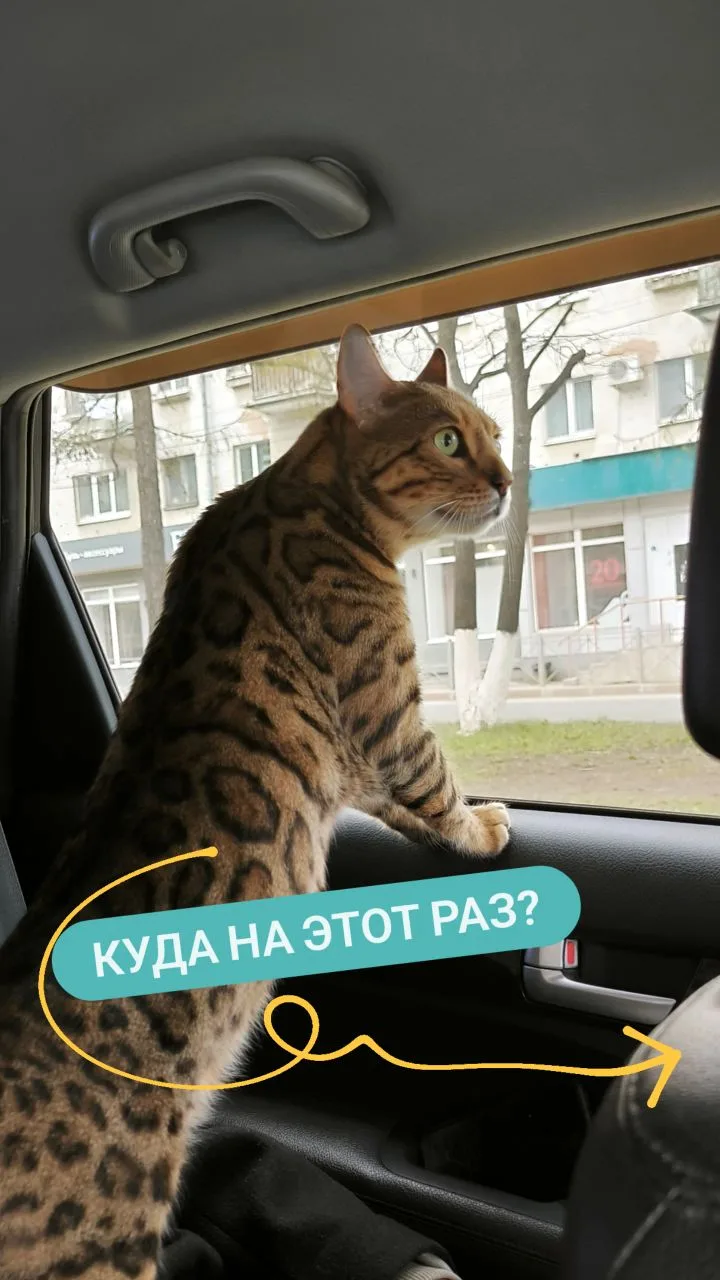 Открыли дачный сезон👍