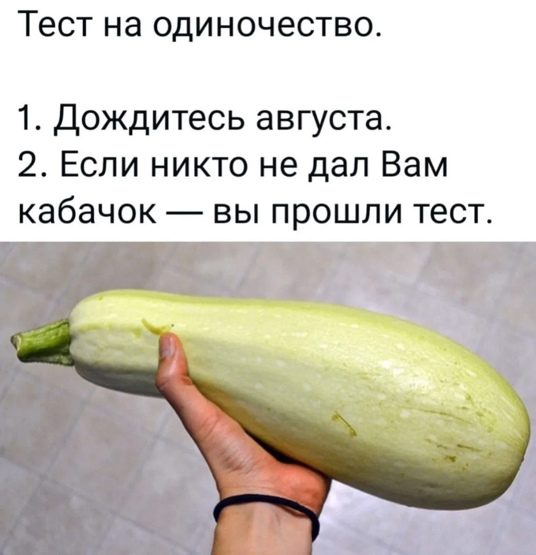 Нашли, куда можно пристроить ваши кабачки