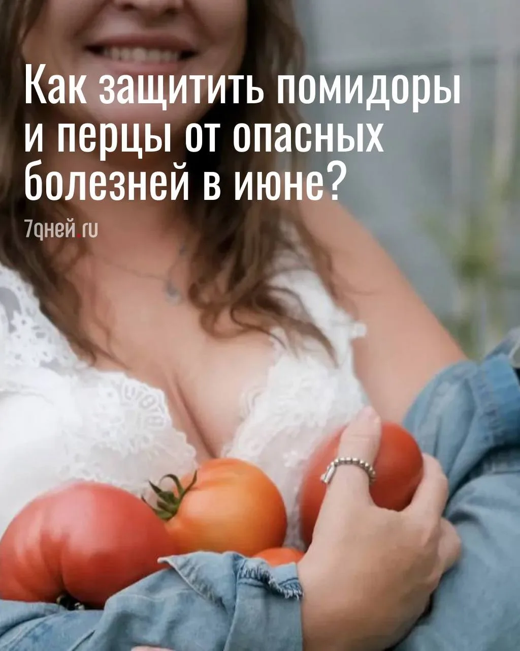 Любителям грядок внимание!

Высадка рассады томатов и перцев в теплицу или открытый грунт — это серь