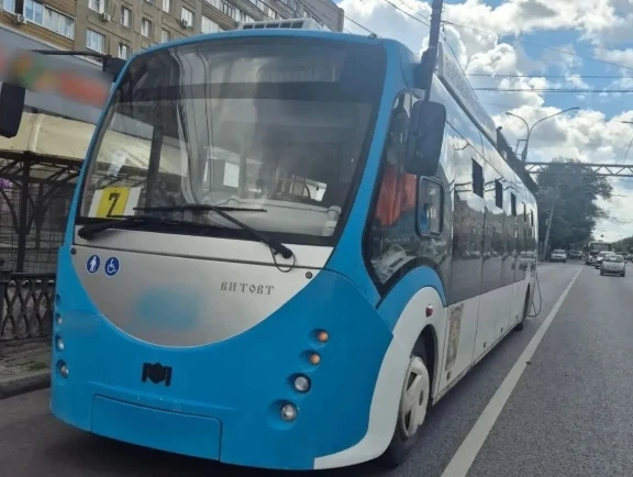 Троллейбус сбил женщину на улице Плехановской в центре Воронежа

ДТП произошло во вторник, 16 июня. 