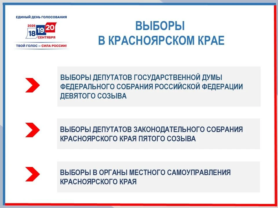 В Красноярском крае проходят 11 избирательных кампаний