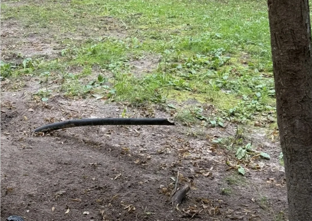 ⚡⚡⚡По иску прокурора управляющая компания обязана выплатить в пользу несовершеннолетнег...