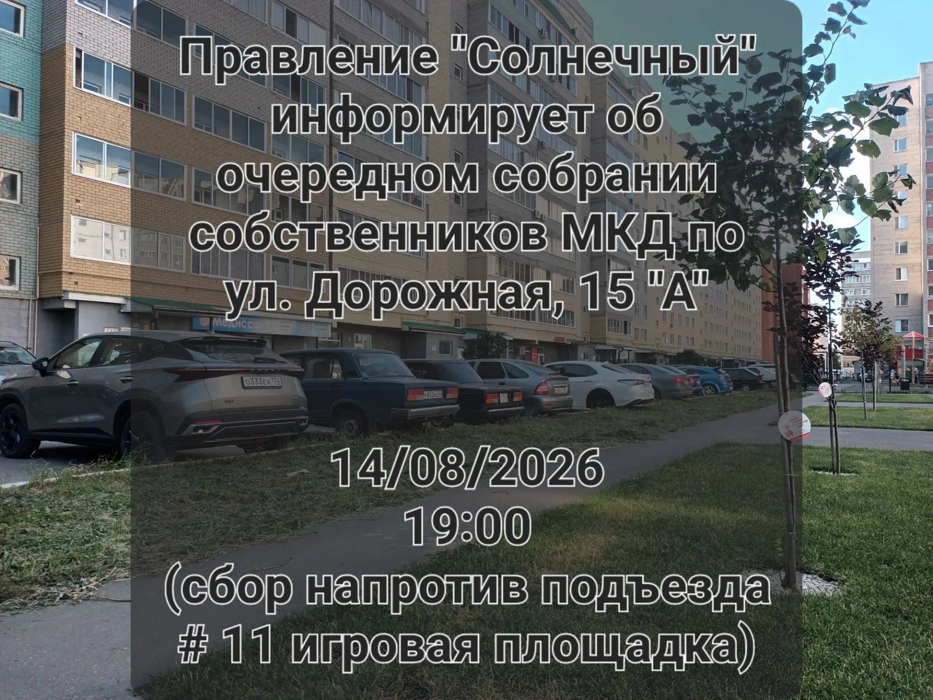 Медиа публикации