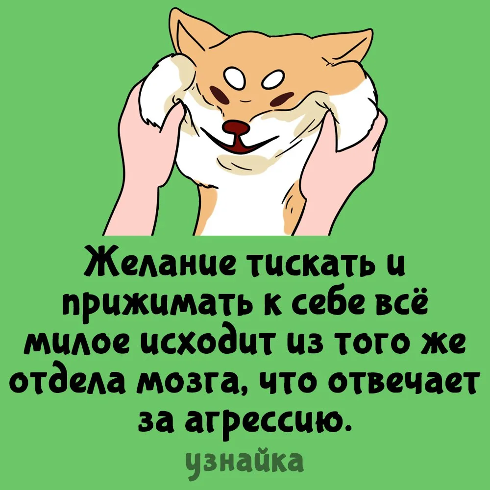 Агрессивно затискаю🐣