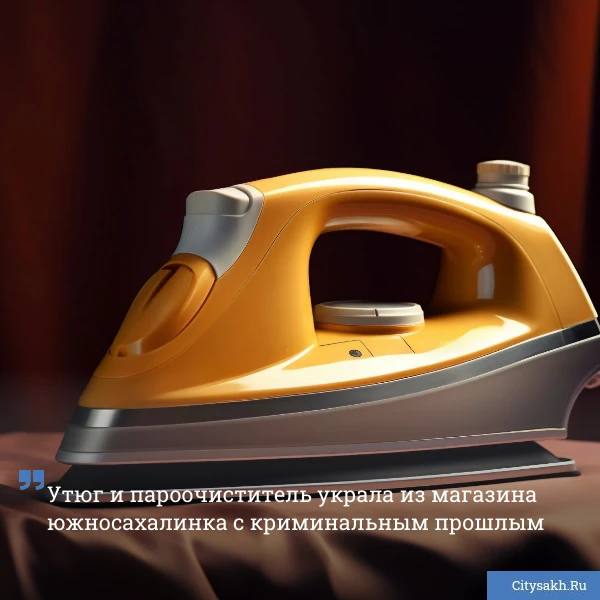😠 Полиция раскрыла кражу из магазина цифровой и бытовой техники в Южно-Сахалинске: 38-летняя горожа