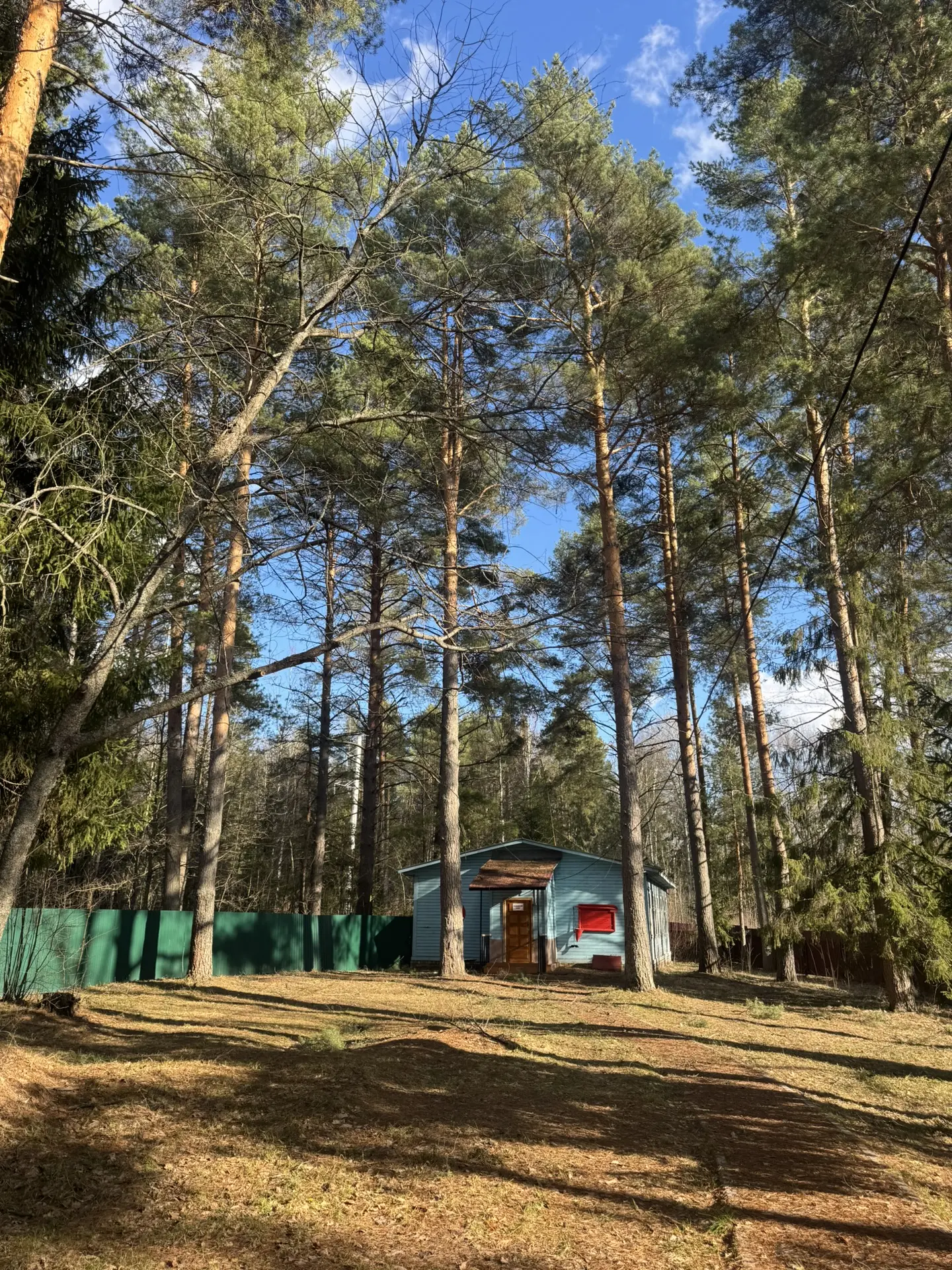Создадим лето вместе? 🌱