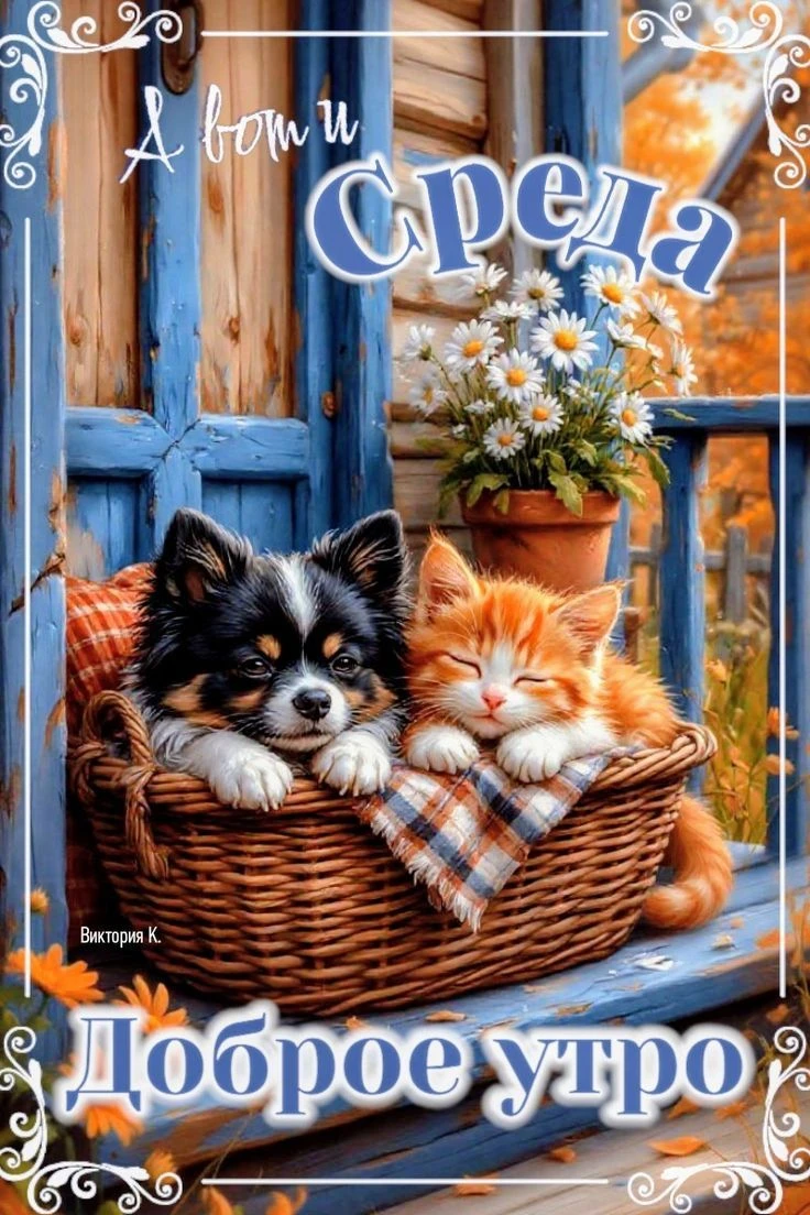 🥰Открытки и поздравления!