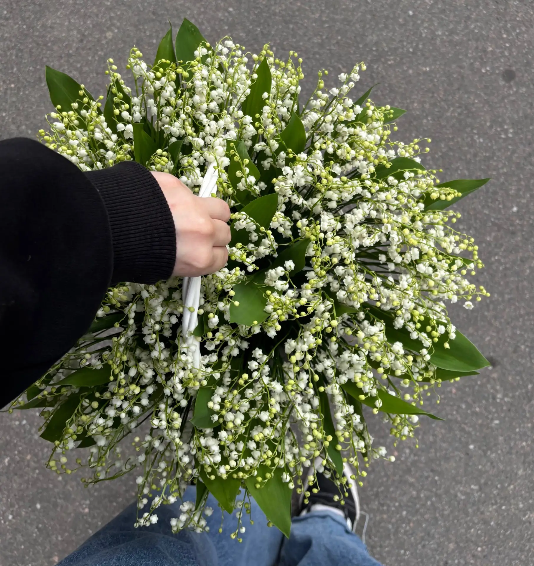 Этой весной ЛАНДЫШИ надо всем!✨