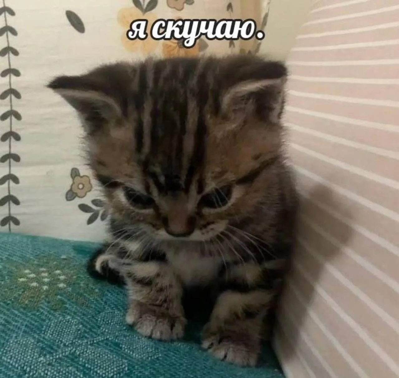 Мемы каждый день • Подписаться
