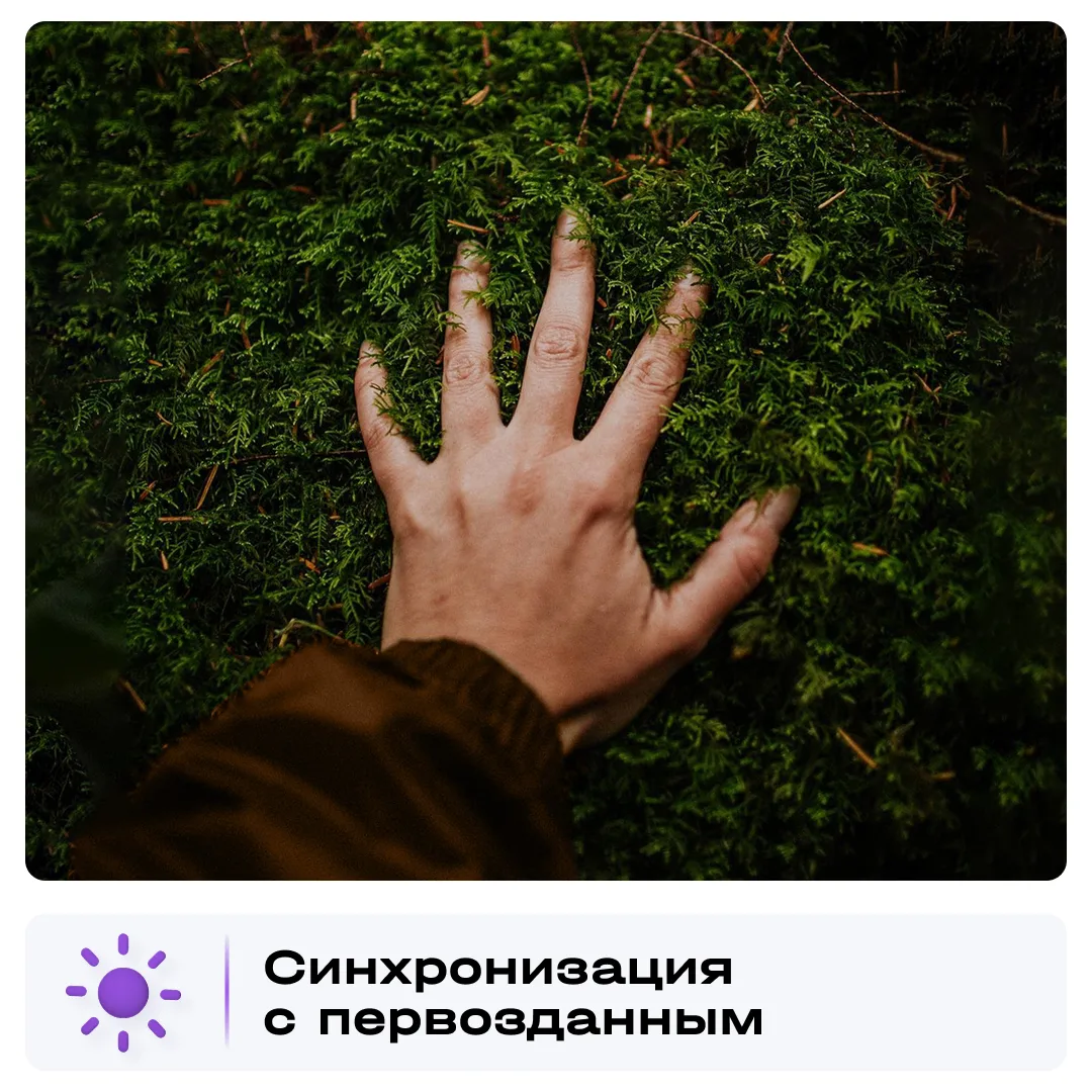 Изображение 2 к публикации «ССК Россия | Строительная компания»