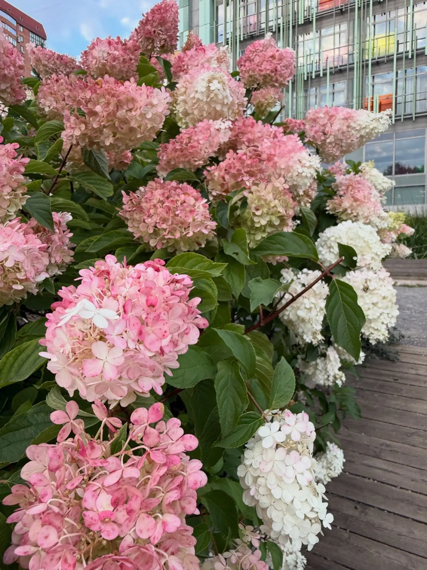 🌙 Есть вечера, которые хочется прожить чуть медленнее.