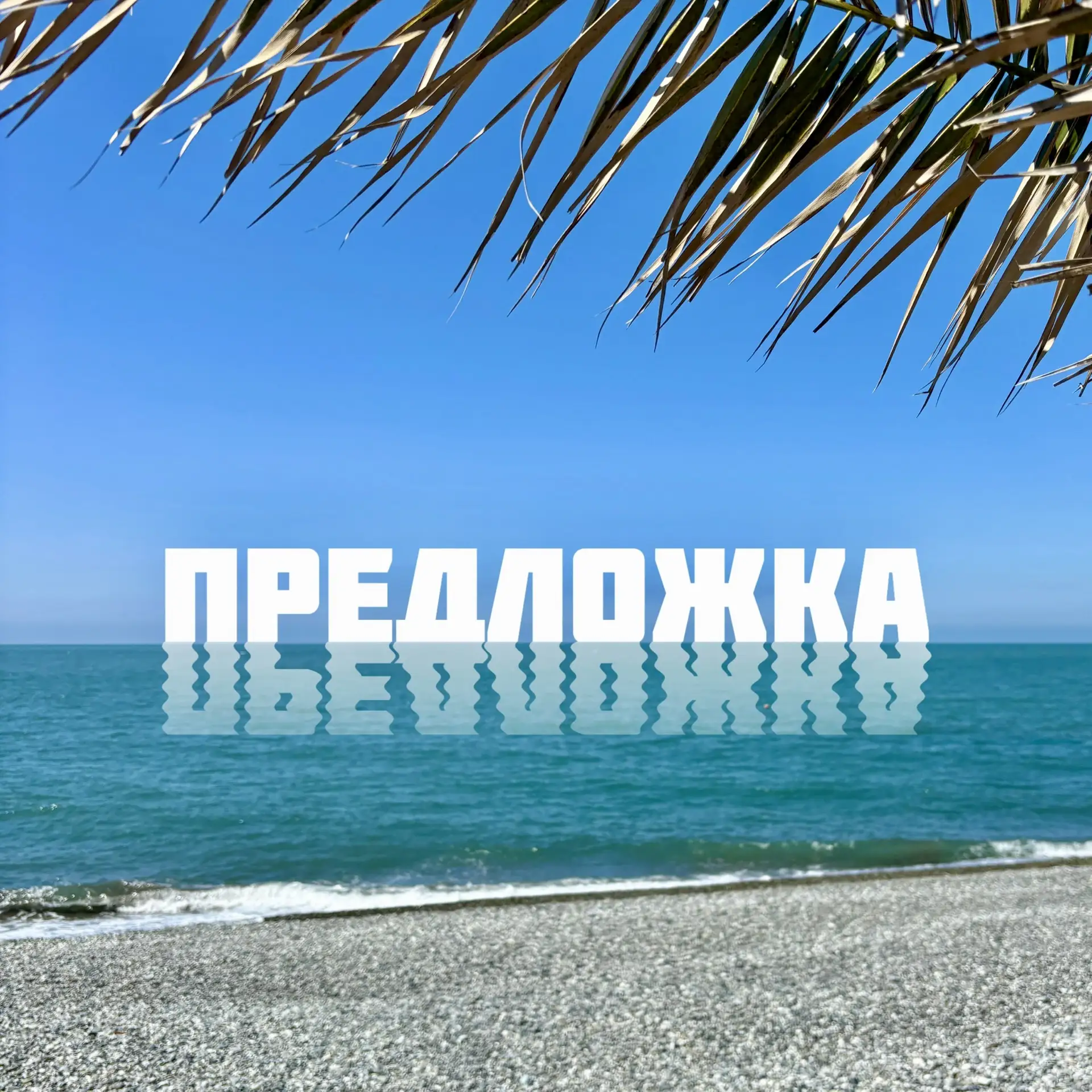 Друзья, у нас есть «Предложка»‼️