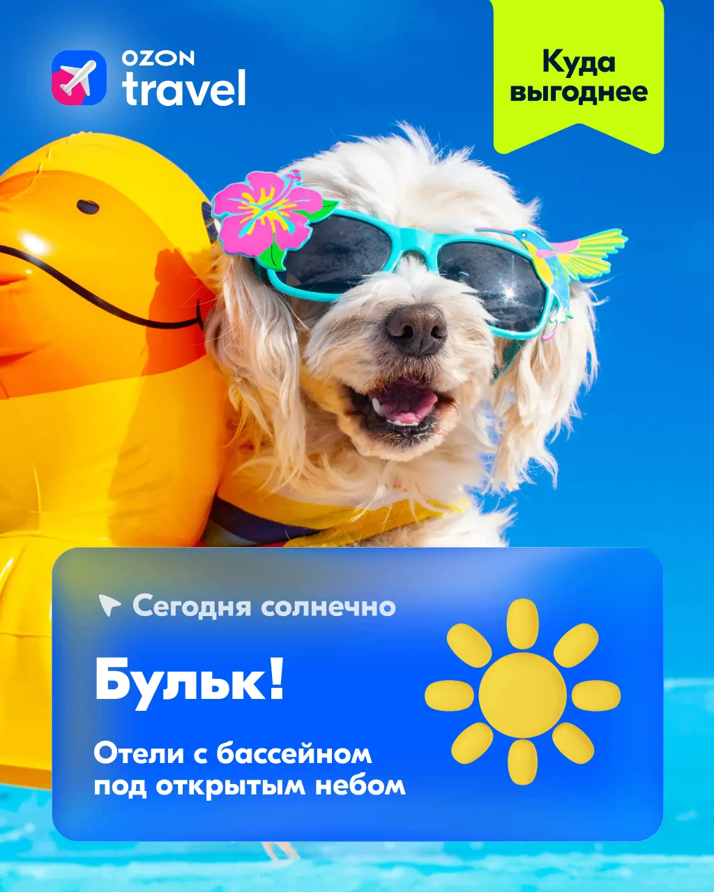 Море — это прекрасно. Но как вам тот факт, что многие всё равно предпочитают бассейн? �...