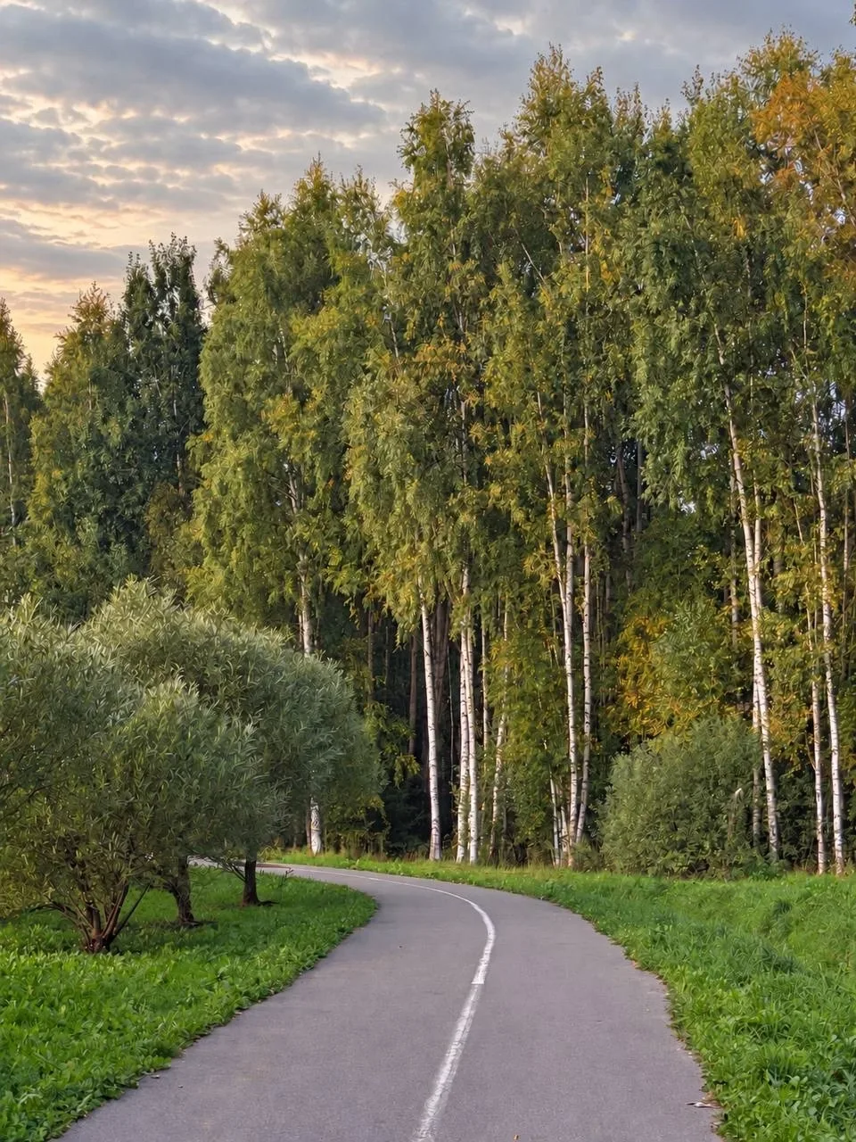 🍂 Первые краски осени в «Юнтолово»