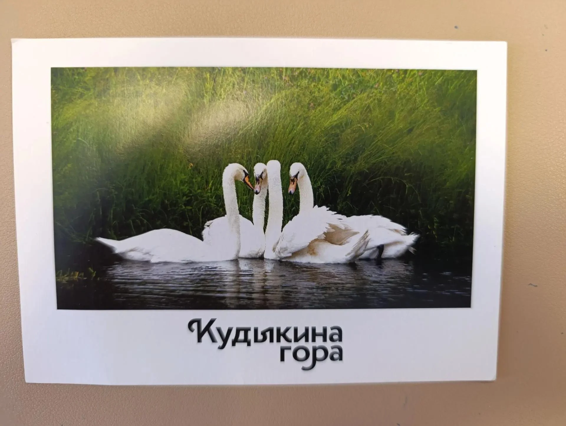 🧩Открытка с приветом🧩