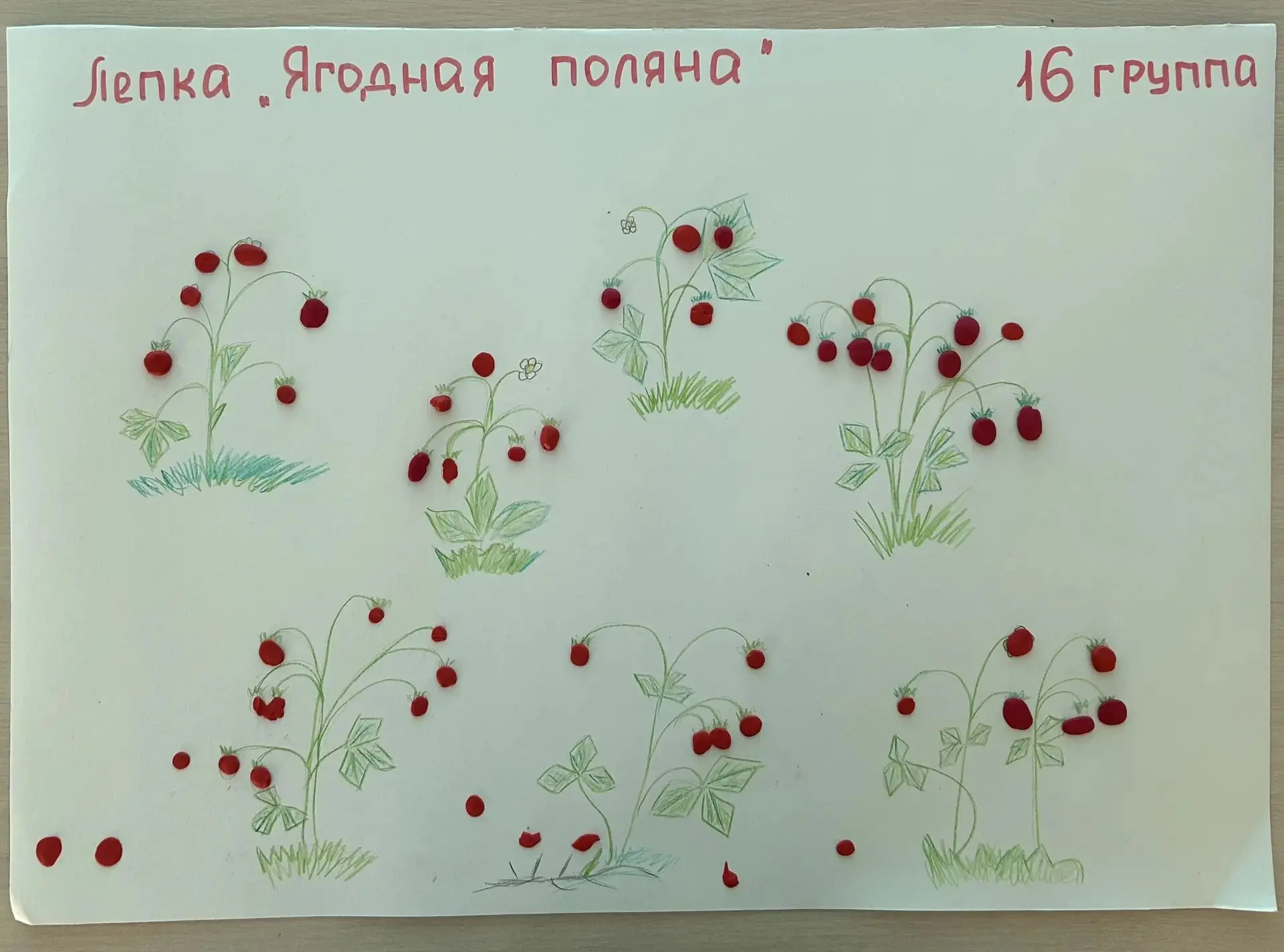 Лепка «Ягодная поляна» в группах №14,15,18,16,4,5,11 🫐🍓