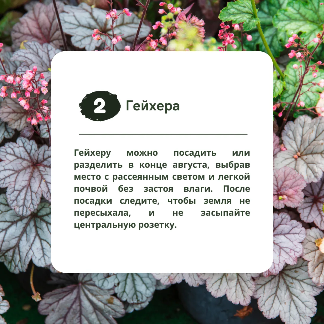 Изображение 3 к публикации «Идеи Вашего Дома»