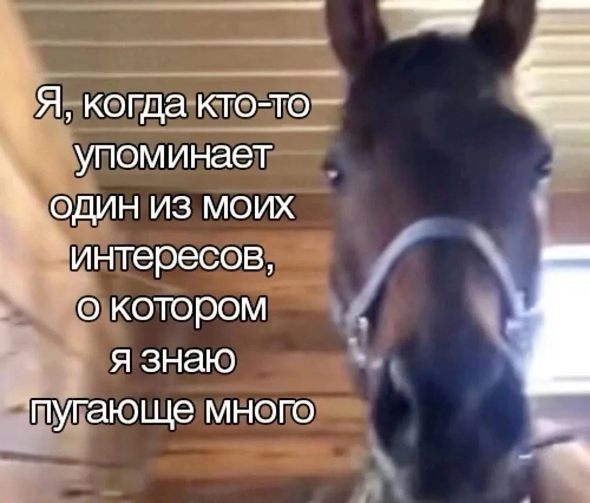 Юмор🤡 | Подписаться