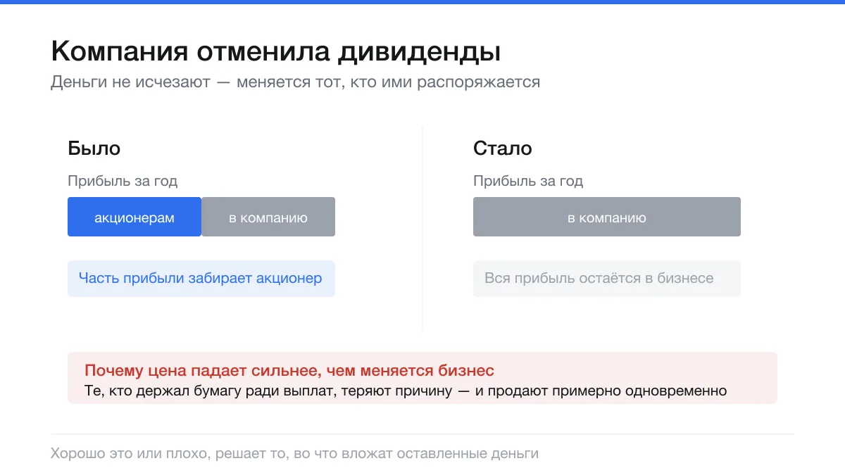 Отказ от дивидендов: почему цена падает сильнее, чем меняется бизнес