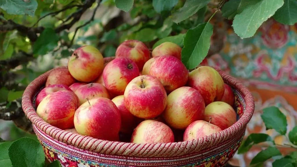 🍎 С Яблочным Спасом!