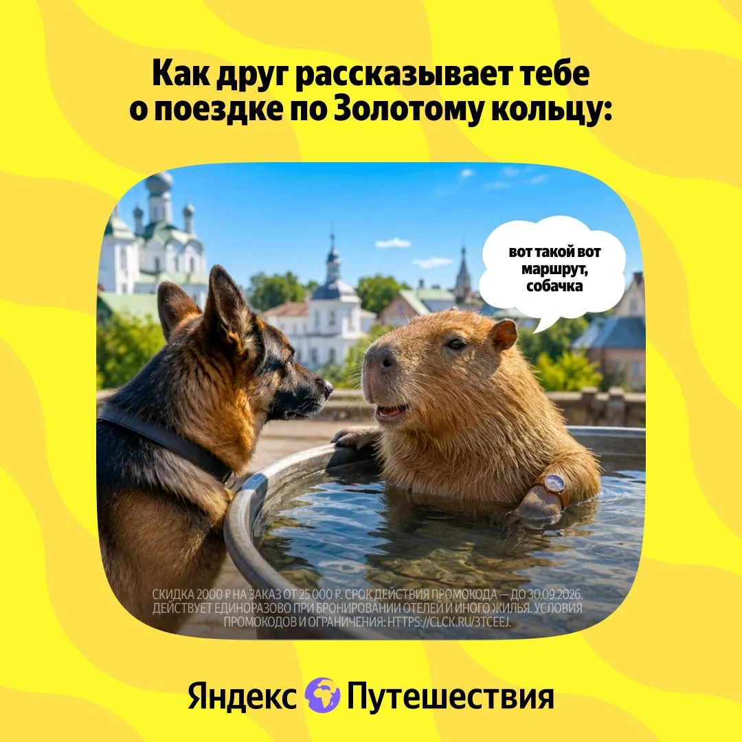 Согласны? Узнали? 😁