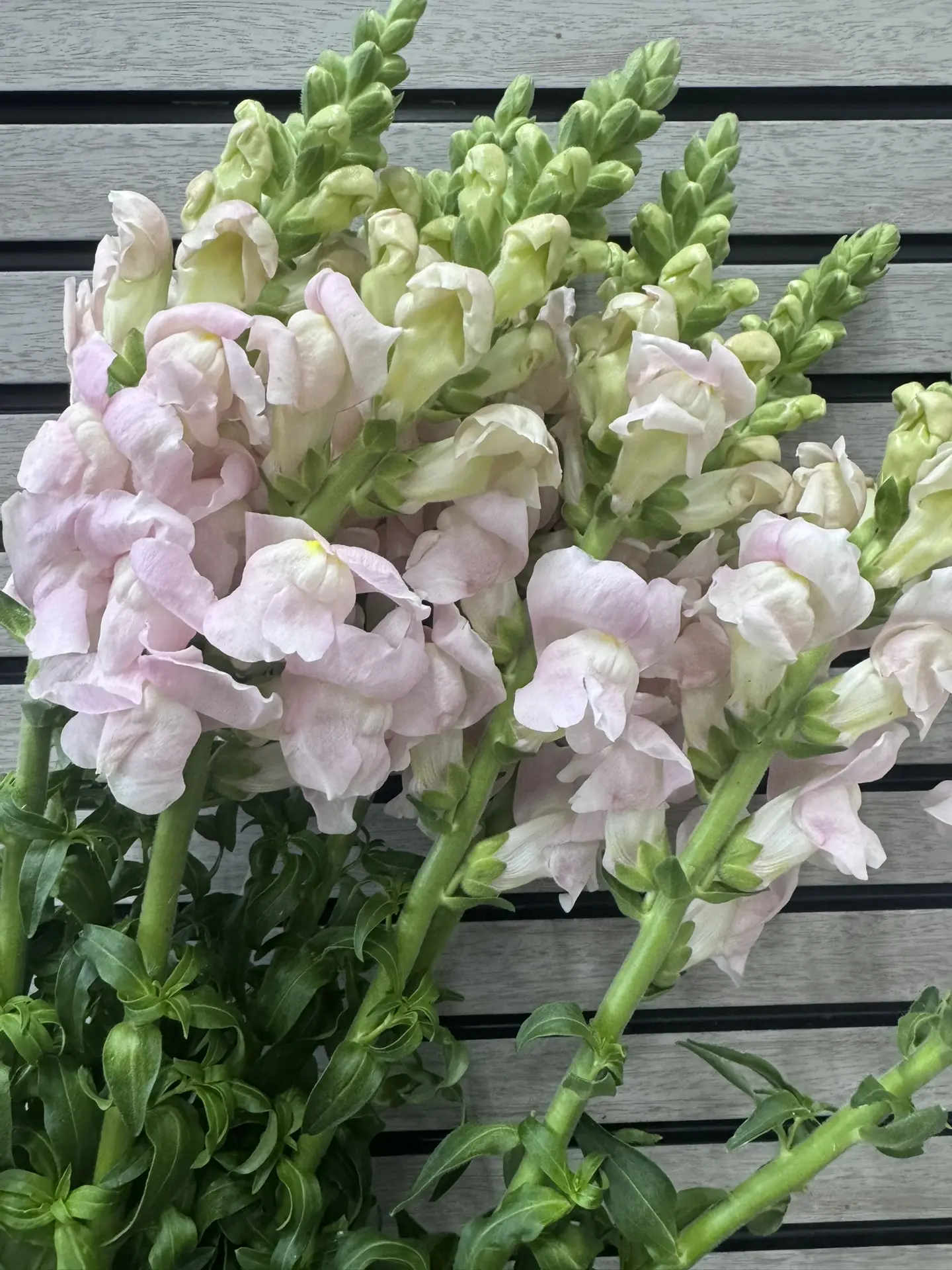 Доброе утро, уважаемые клиенты🌸🌸☀️