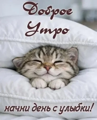 ЖИВАЯ СКАЗКА