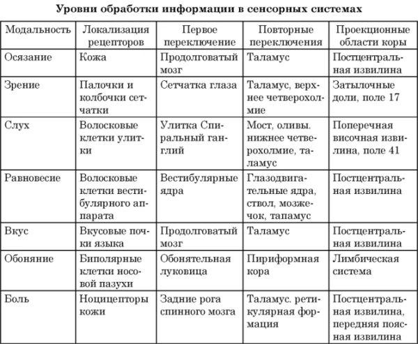 Уровни обработки информации в сенсорных системах