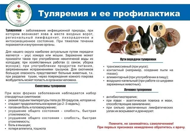 Управление Роспотребнадзора по Тамбовской области напоминает о важности профилактики туляремии.