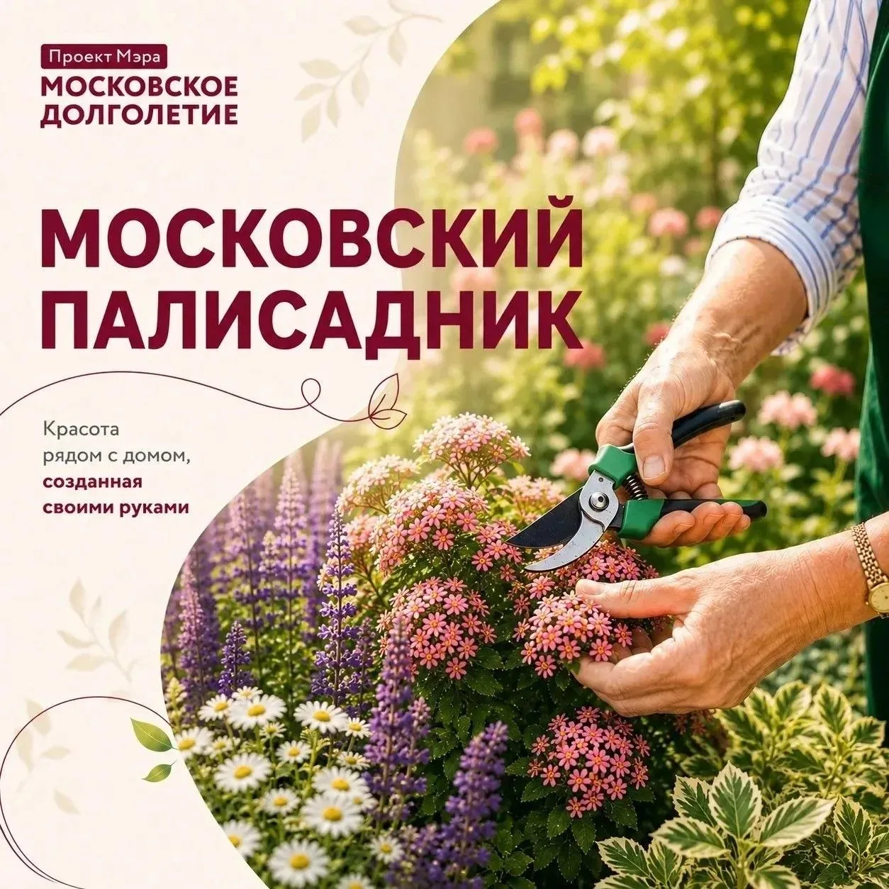 🌿 «Московский палисадник» — новый способ сделать город красивее своими руками