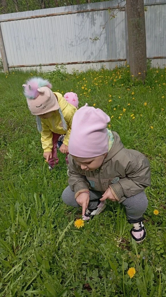 🌼 День одуванчиков в группе «Улыбка»! 🌼