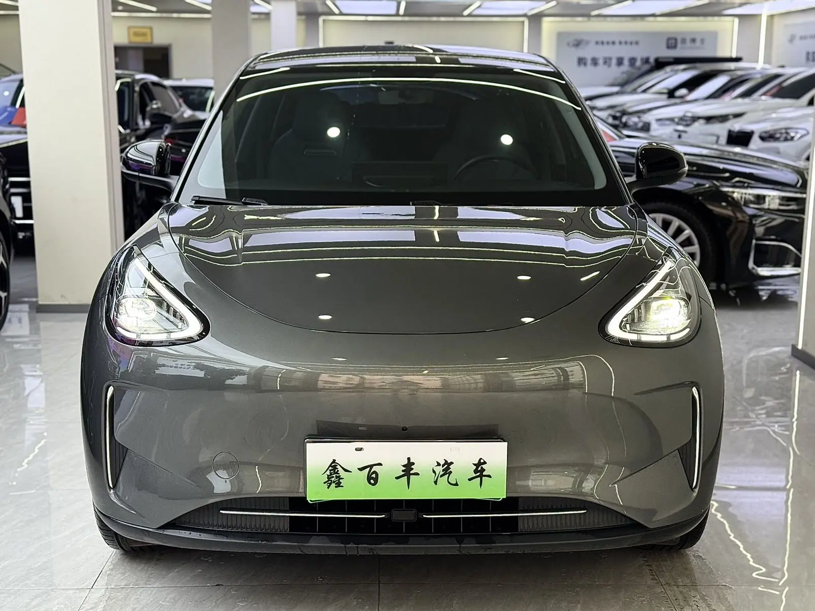 ✅ Geely Geome Xingyuan