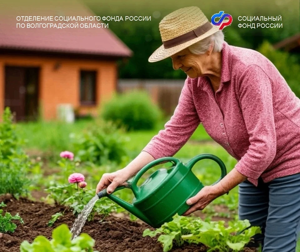 80% волгоградцев предпочли банковскую карту другим вариантам получения пенсии