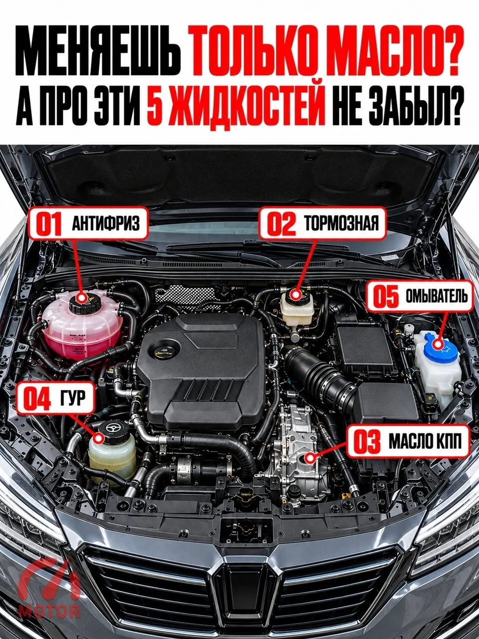 Масло меняют почти все. А про остальные жидкости под капотом многие вспоминают только т...