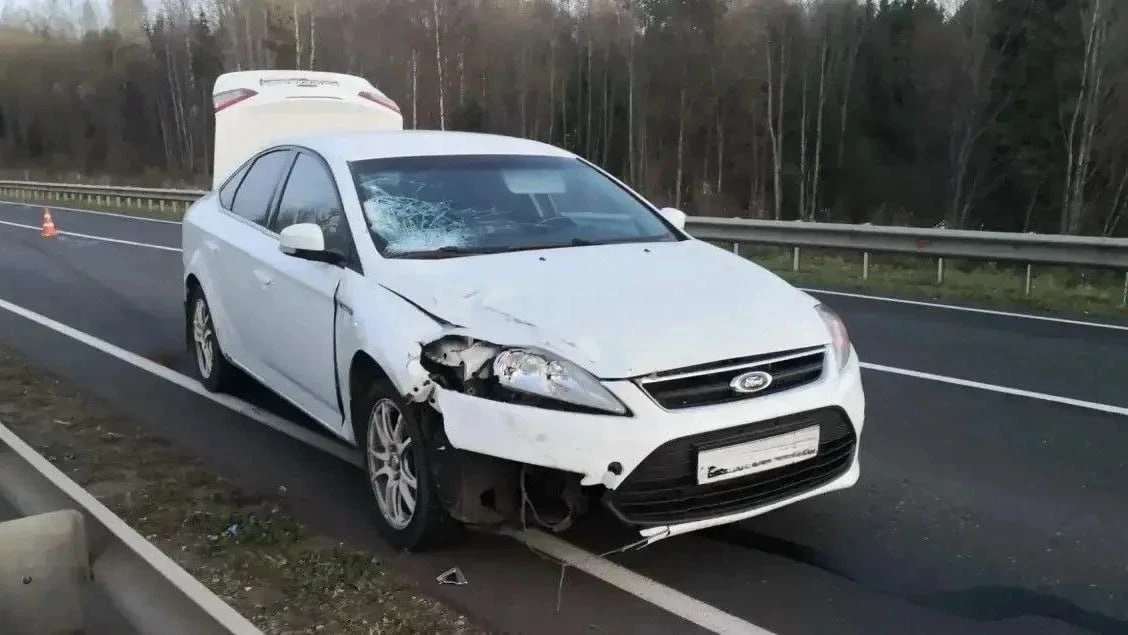 В Зуевском районе насмерть сбили пешехода.