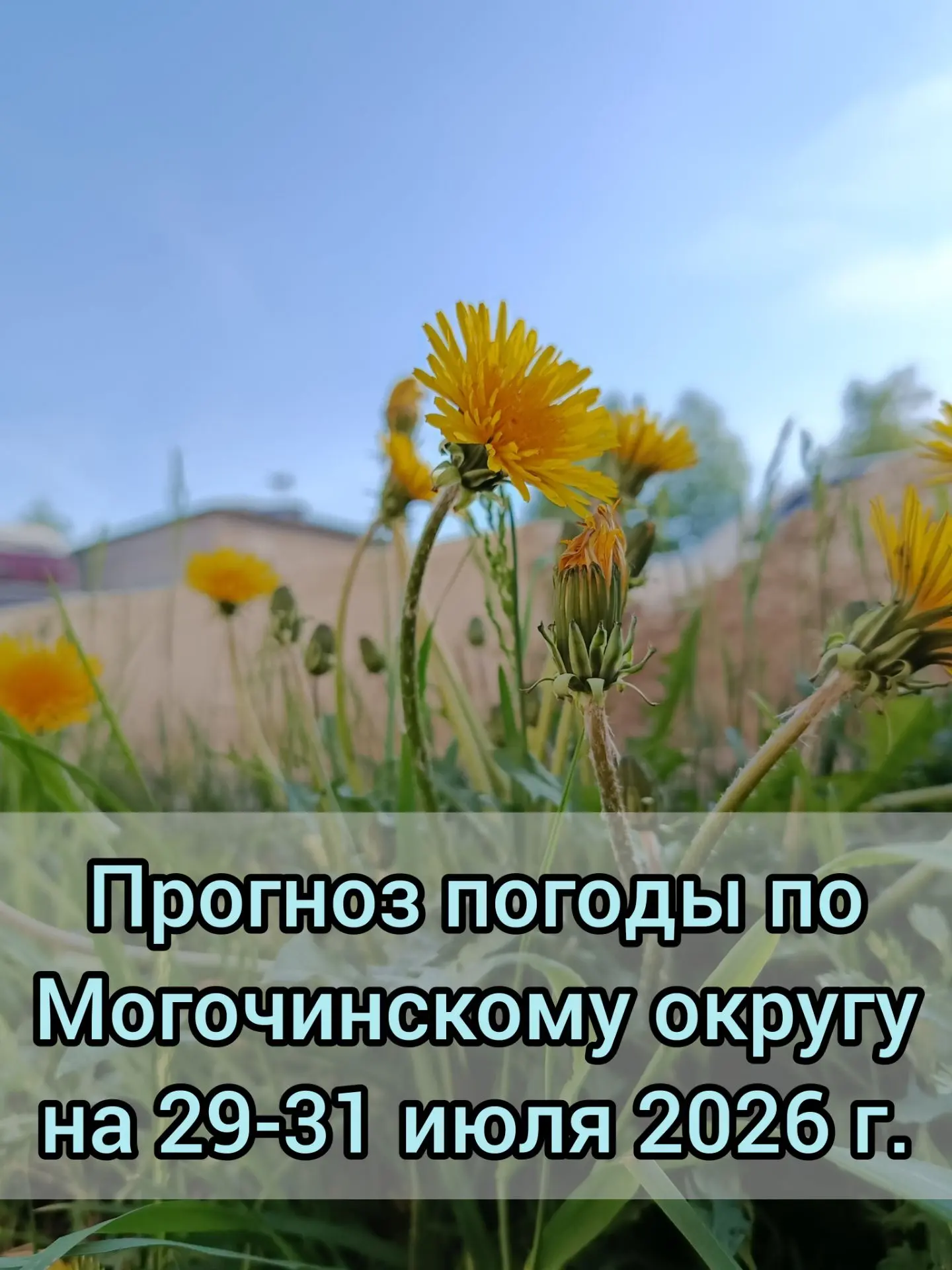 🌥️Прогноз погоды по Могочинскому округу на 29-31 июля 

📆29 июля без существенных осадков. 🌬️Вете