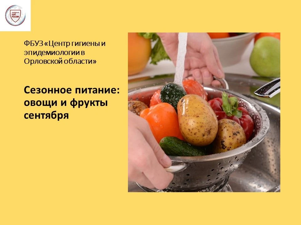 Вот и пришла осень, наступил сентябрь. Несмотря на то, что погода уже портится, для про...