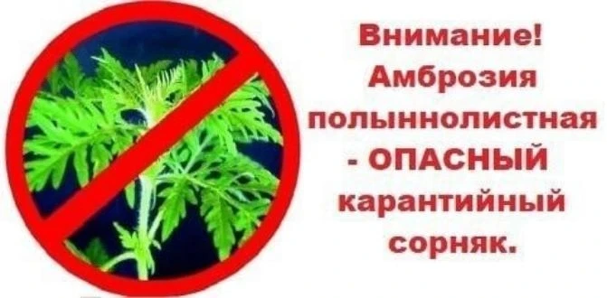 Уважаемые жители, руководители предприятий и организаций!