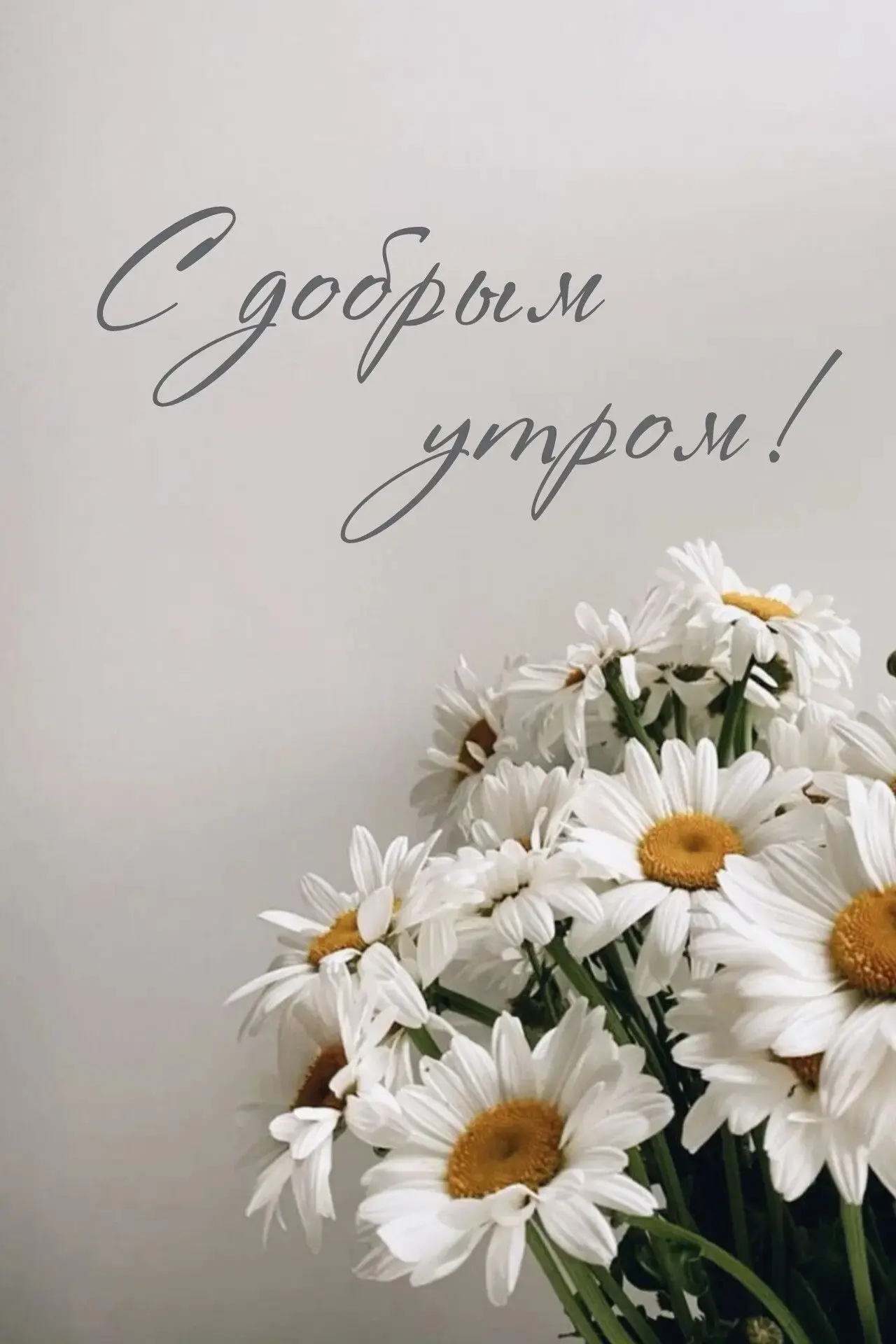 Доброе утро!
 Пусть утренний позитивный настрой подарит замечательный день. Желаю чудесного дня, пол