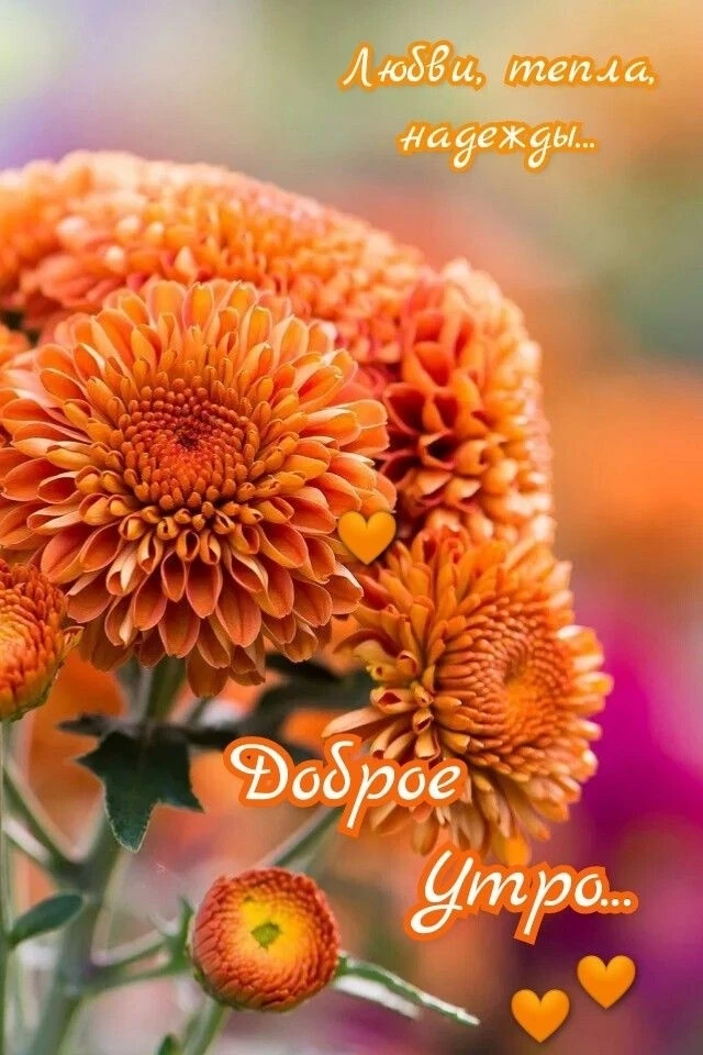 Доброе утро!🧡