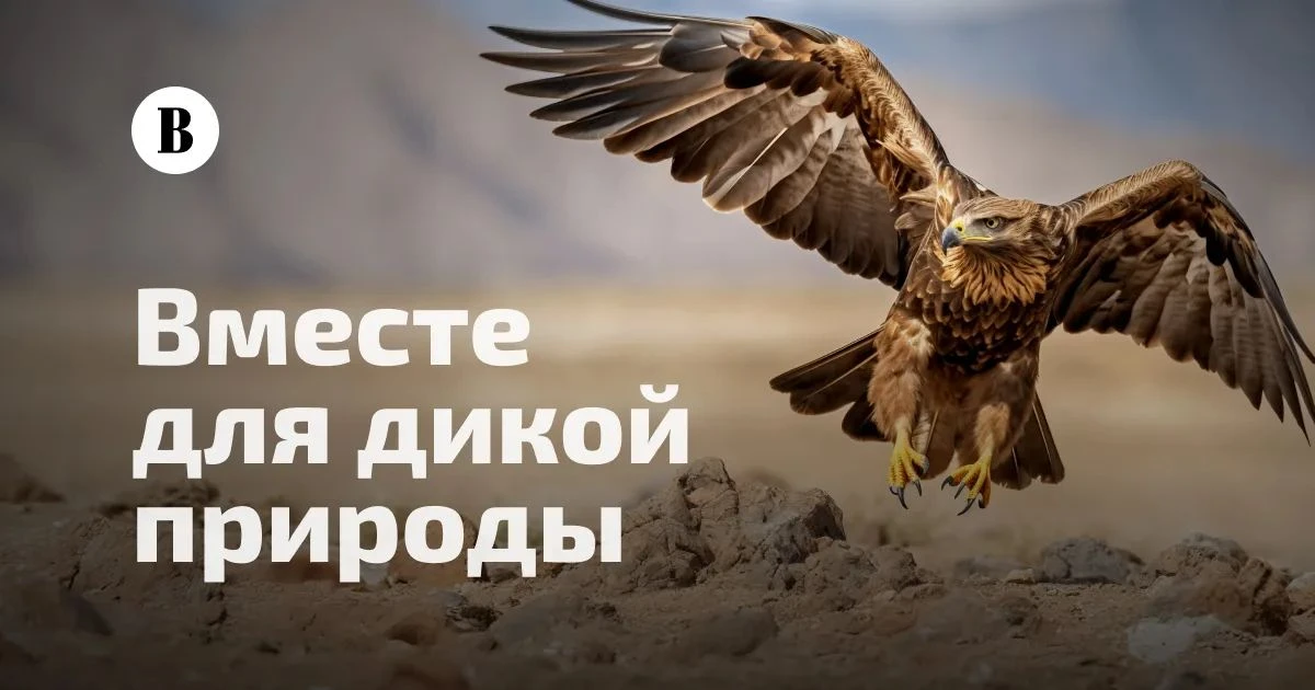 Проект «Вместе для дикой природы»: поддержим защиту исчезающих видов