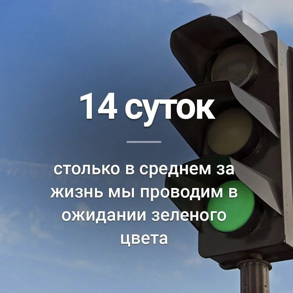 Изображение 1 к публикации «Рандомные факты»
