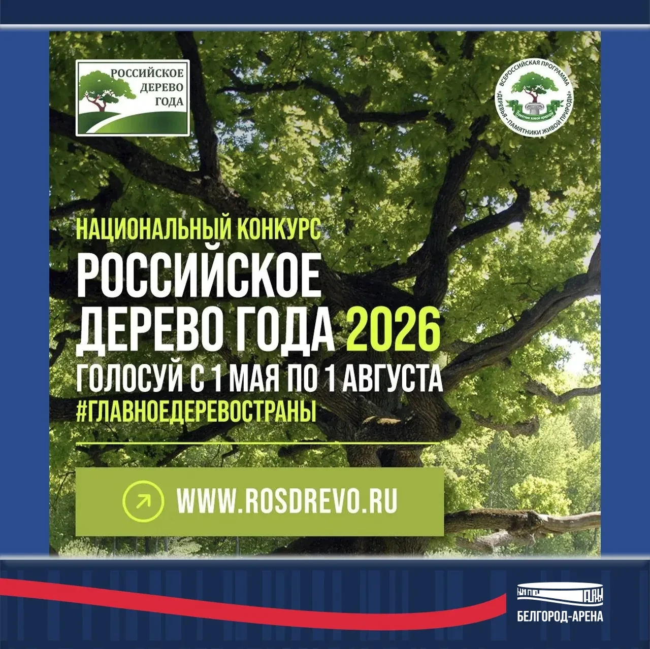 «Белгород–Арена» предлагает выбрать «Российское дерево года»!