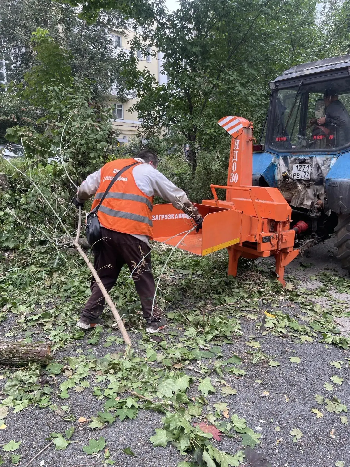 🌿 Продолжаем комплексный уход за придомовыми территориями.