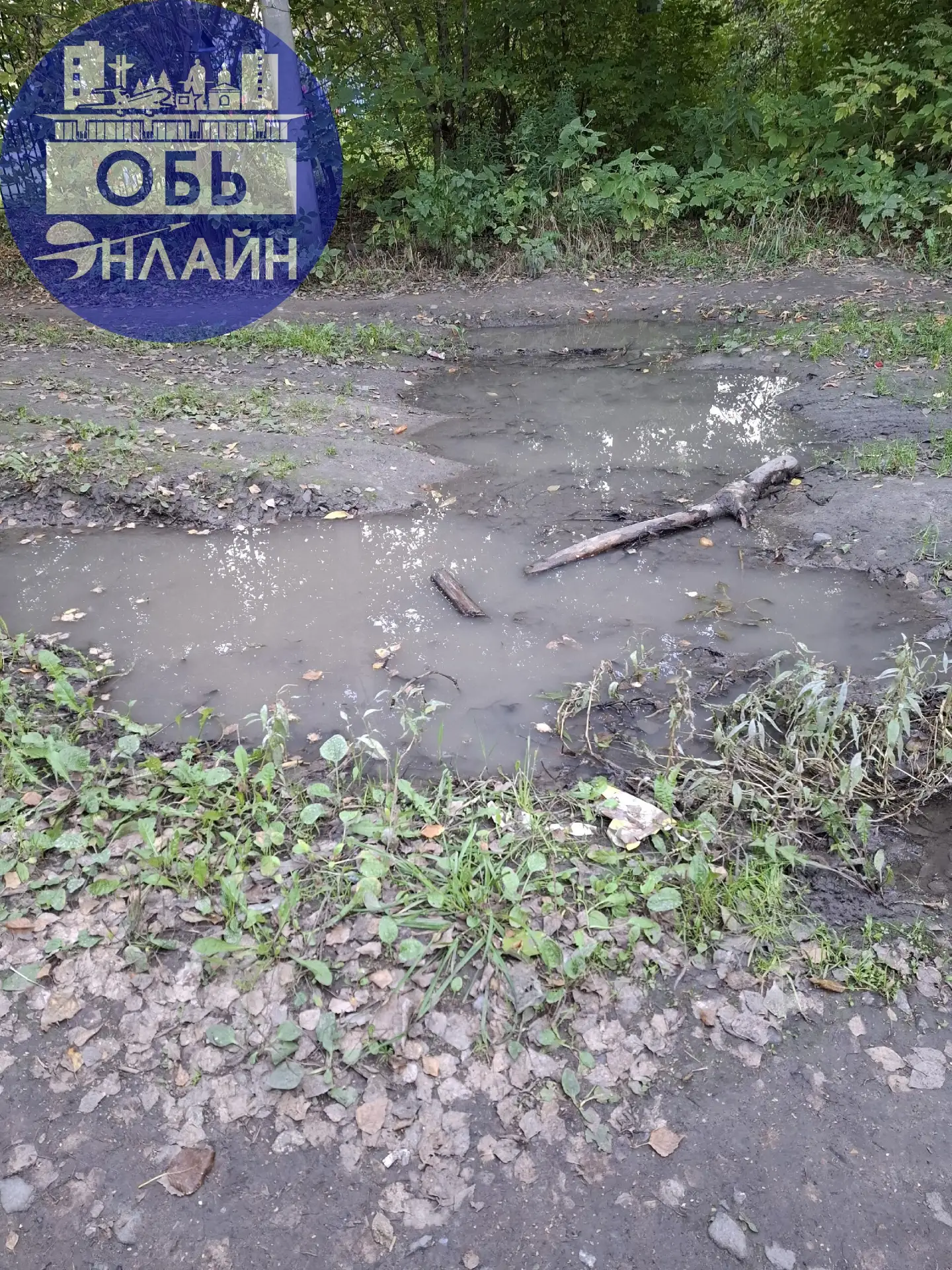 Уважаемая администрация и гор хозяйство можно  разровнять и засыпать  заболоченый  учас...