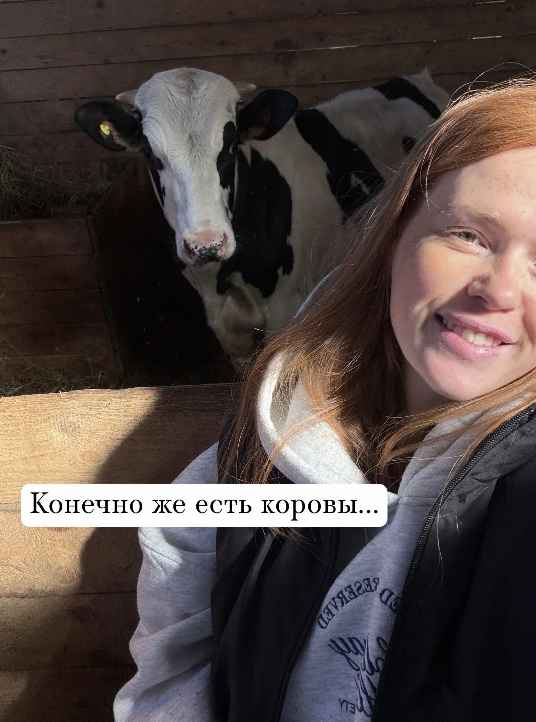 Изображение 4 к публикации «Огород с Зизюлей»